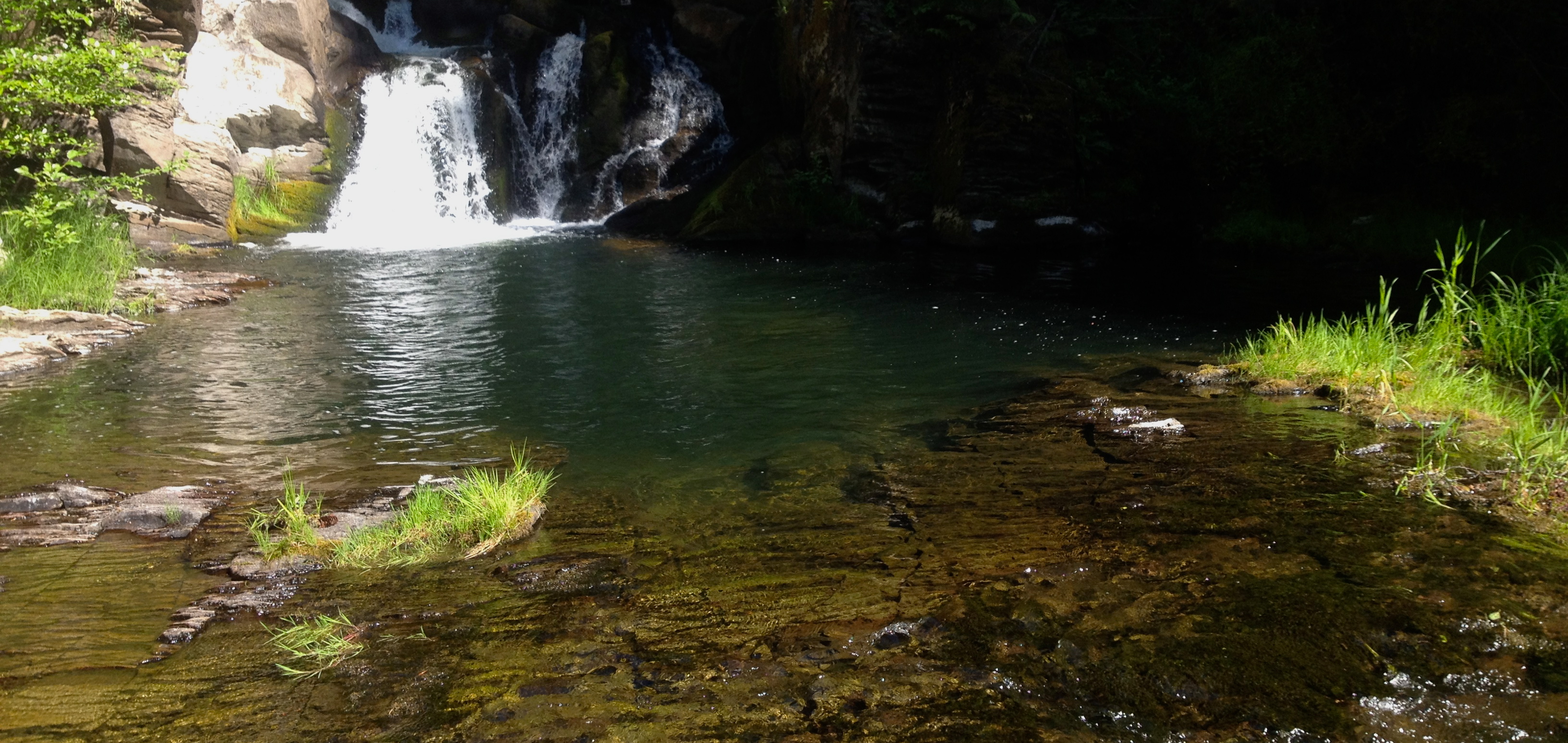 Friends of the White Salmon River